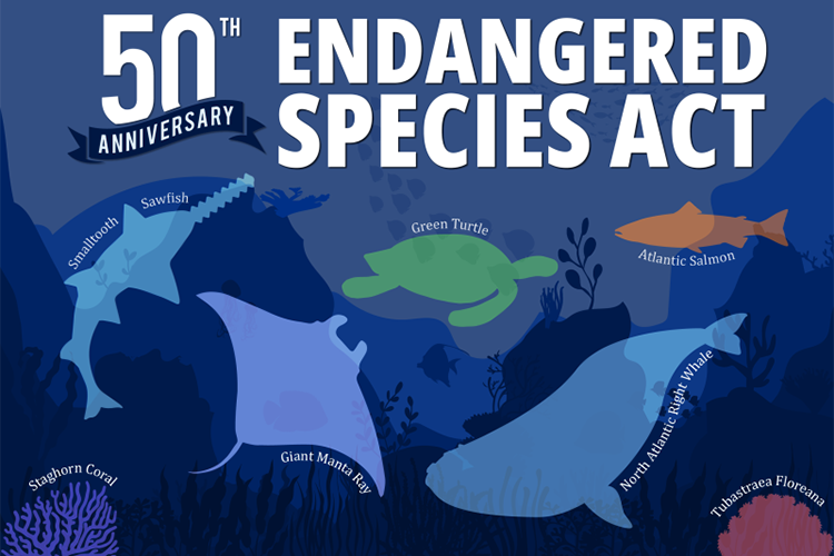Endangered-Species-Week-Feature-v4 (1)
