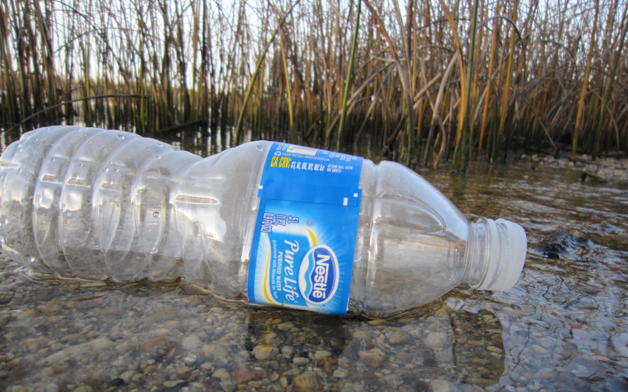 A plastic Nestle water bottle in nature