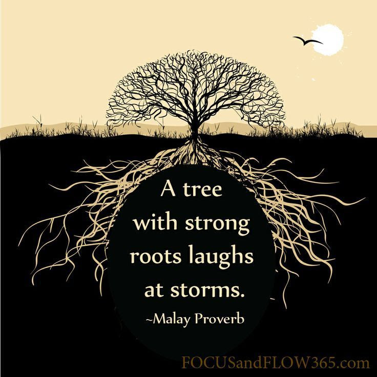 a022956c11046895fc2684ae11988c0e--roots-quotes-wise-quotes