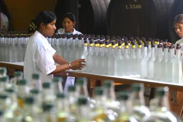Exportaciones de bebidas espirituosas sumaron US$ 12.449.000 entre enero y octubre del 2021, mostrando un incremento de 92%