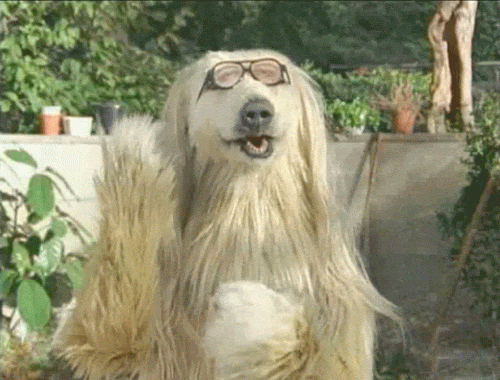 Animated GIF