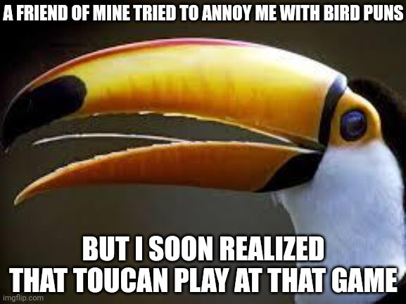 A meme using the pun -- A friend of mine tried to annoy me with bird puns but I soon realized toucan play at that game.