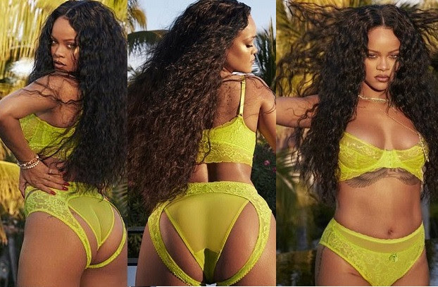 Rihanna oozes sex appeal as she flaunts her enviable curves in sexy lingerie (photos)