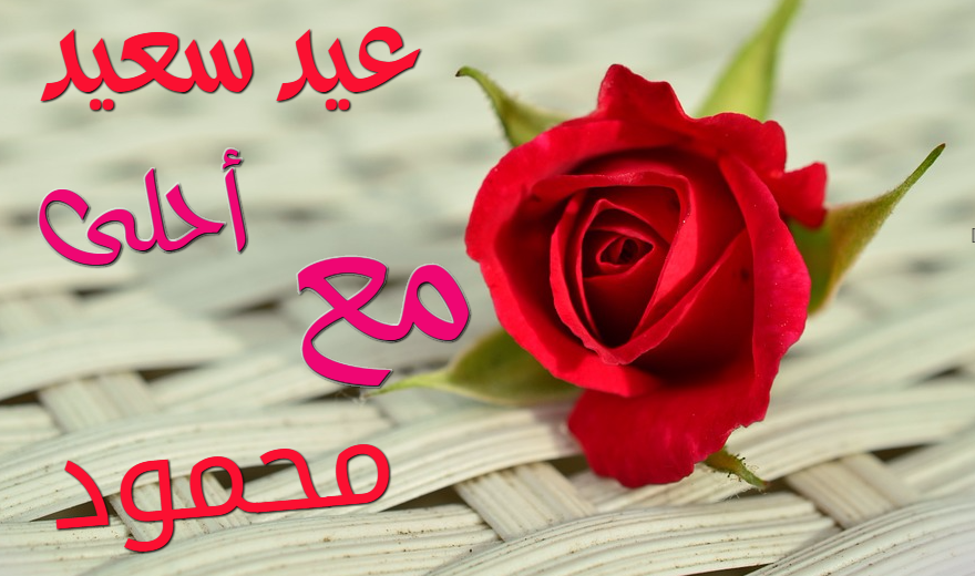 صور العيد أحلي مع مين 2020 اكتب علي صورة العيد احلي مع اللي بتحبهم بالعربي والانجليزي خمس خطوات