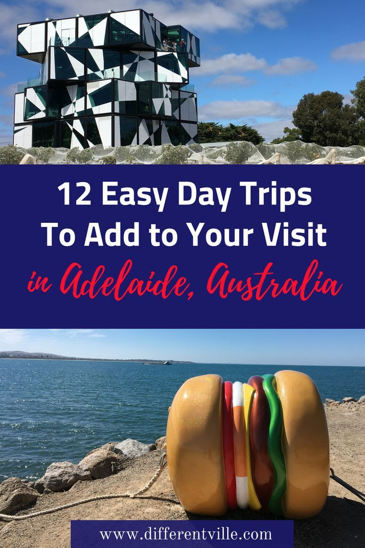 13 Fun & Unusual Day Trips From Adelaide Day trips, Trip, Easy day