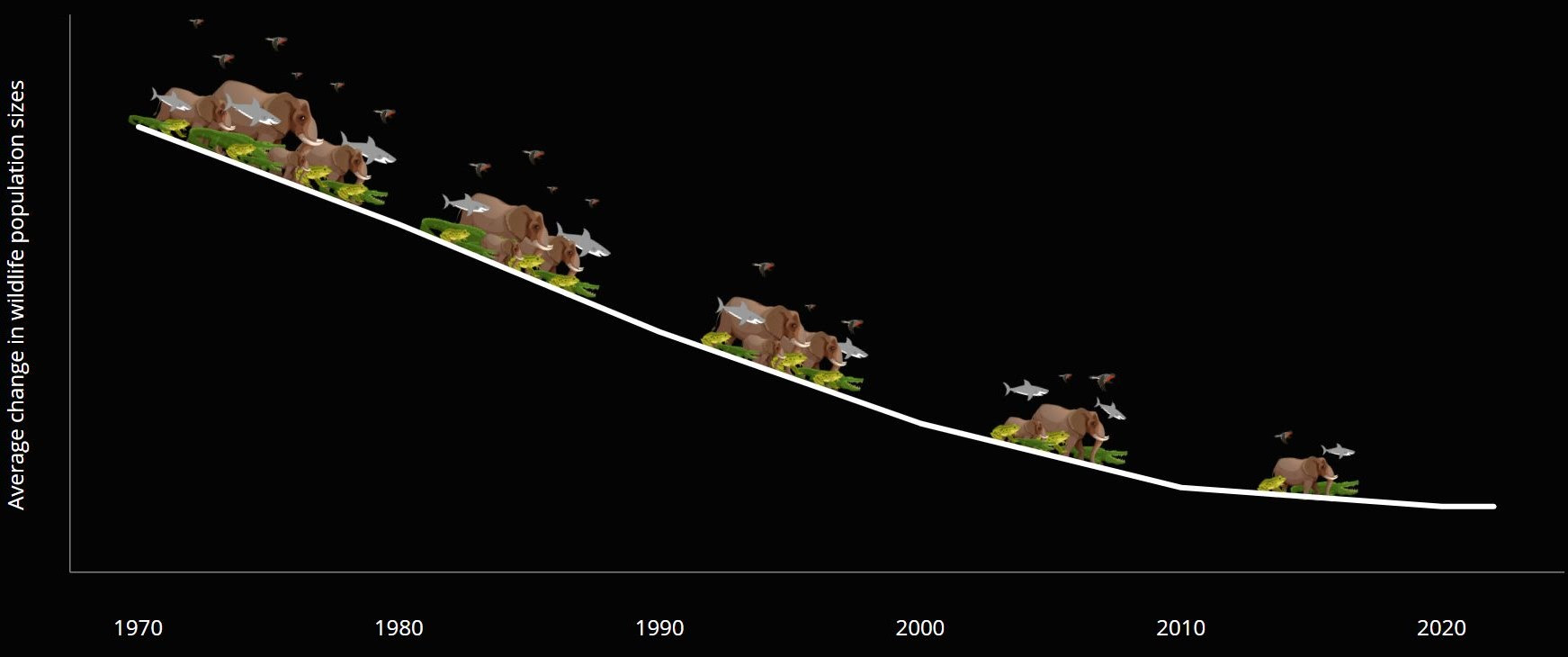 WWF's Living Planet Report Reveals A Devastating 69% Drop In Wildlife ...