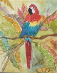 Colorful Parrot - Posted on Tuesday, January 27, 2015 by Patricia Voelz