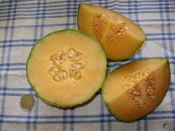 Melon 'Emir' Melon 'Emir'