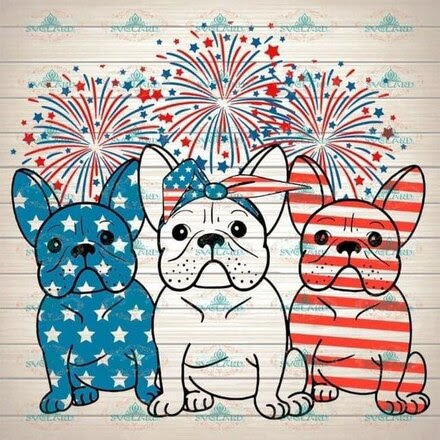 Patriotic-Dogs-RWB