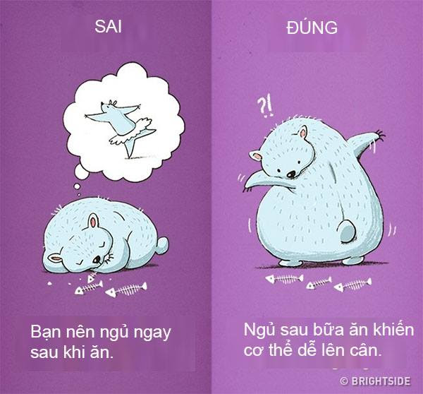 Khi ngủ, cơ thể của bạn sẽ tích trữ calo thay vì đốt cháy chúng. Vì vậy, nếu bạn ngủ ngay sau khi ăn, cơ thể của bạn sẽ dễ dàng tăng cân. Vì vậy, bạn nên ngủ sau khi kết thúc bữa ăn khoảng 20 phút.