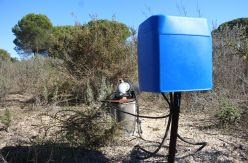 El Gobierno calcula que revertir el daño del expolio de agua en Doñana para cumplir la ley obliga a invertir 150 millones