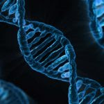 DNA illustration, via Pixabay.