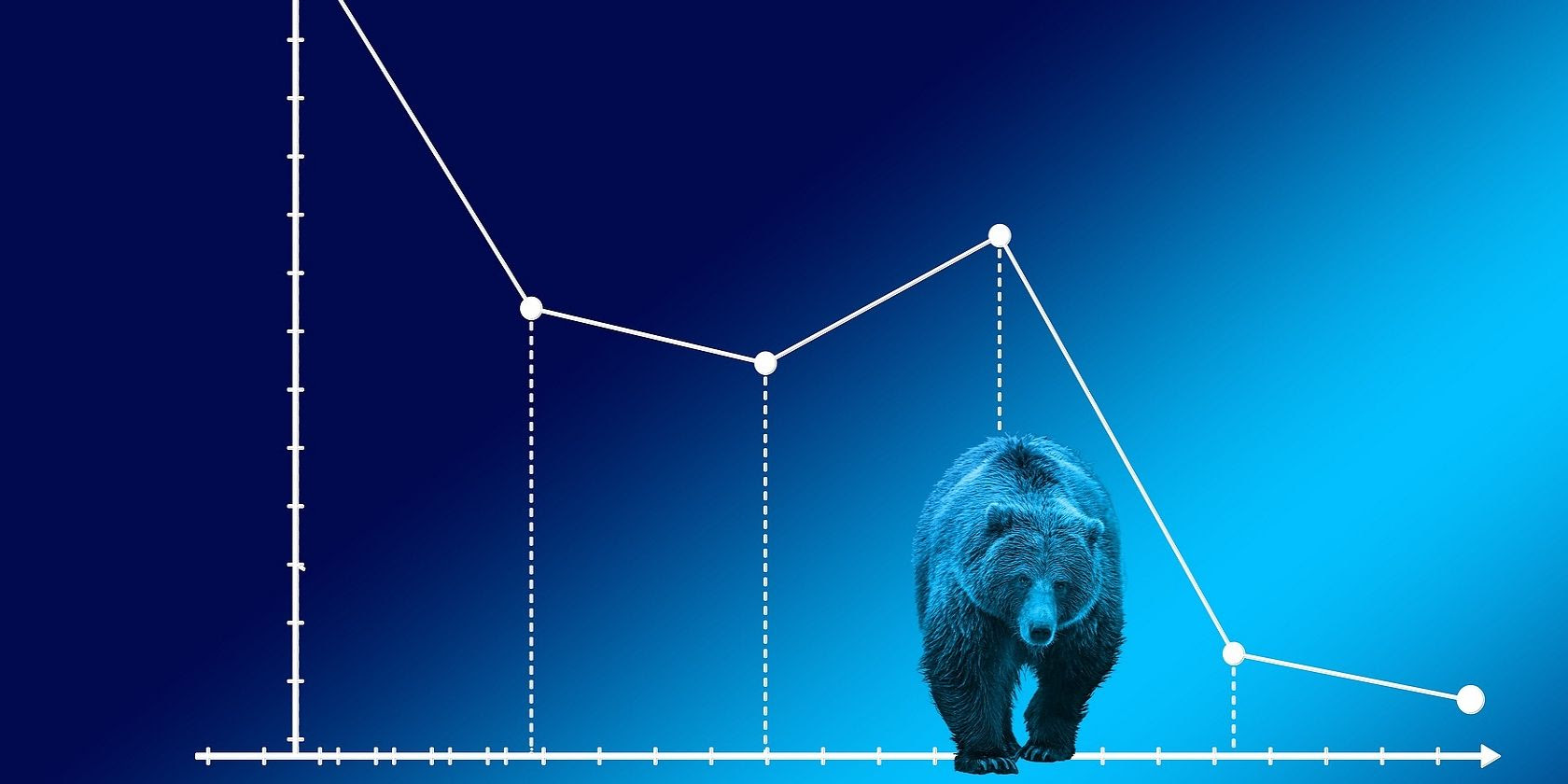 6 Ways to Survive in the Bear Crypto Market