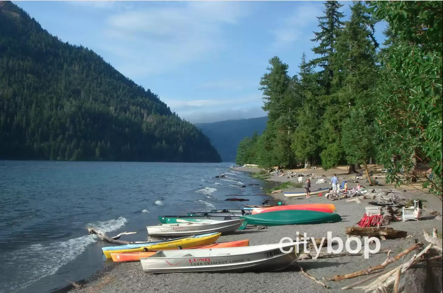 10 BEST Things to Do at Lake Crescent