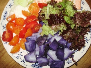 A very colourful salad full of healthy nutrients A very colourful salad full of healthy nutrients