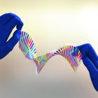 chameleon-like artificial skin Developed by engineers from the University of California at Berkeley, this chameleon-like artificial "skin" changes color as a minute amount of force is applied. (credit: The Optical Society/OSA)