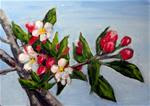 Apple Blossoms - Posted on Wednesday, March 11, 2015 by Cietha Wilson