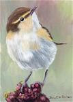 Common Chiffchaff ACEO - Posted on Monday, April 13, 2015 by Janet Graham
