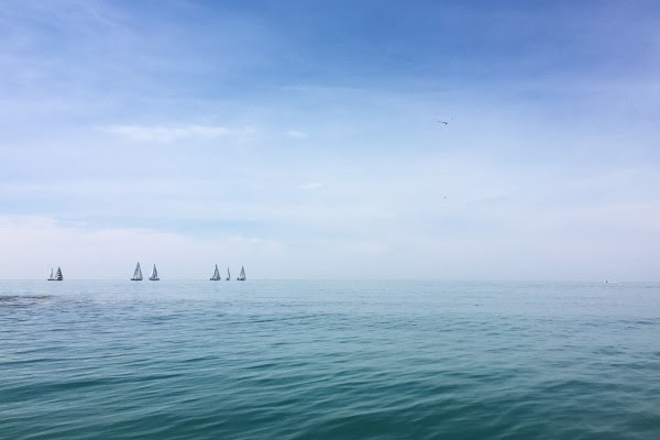 sailboats on lake