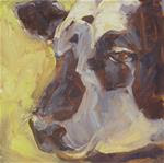 Sleepy Cow, oil on panel, 6x6 - Posted on Friday, December 19, 2014 by Ginny Butcher