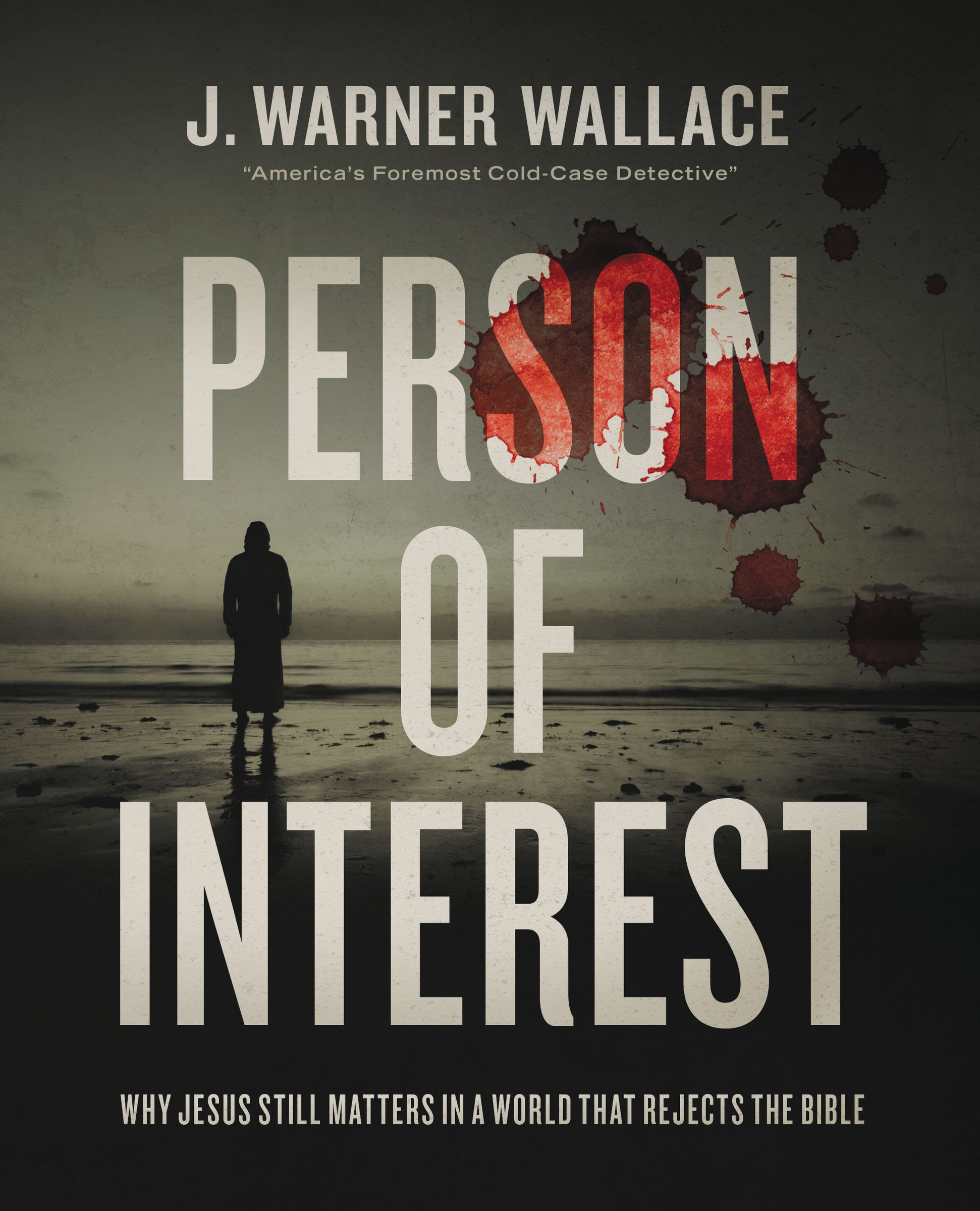 Person of Interest: Why Jesus Still Matters in a World that Rejects the Bible PDF