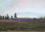 Morning on Iris Field,landscape,oil on canvas,18x24,price$750 - Posted on Monday, December 15, 2014 by Joy Olney