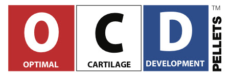 OCD-logo copy