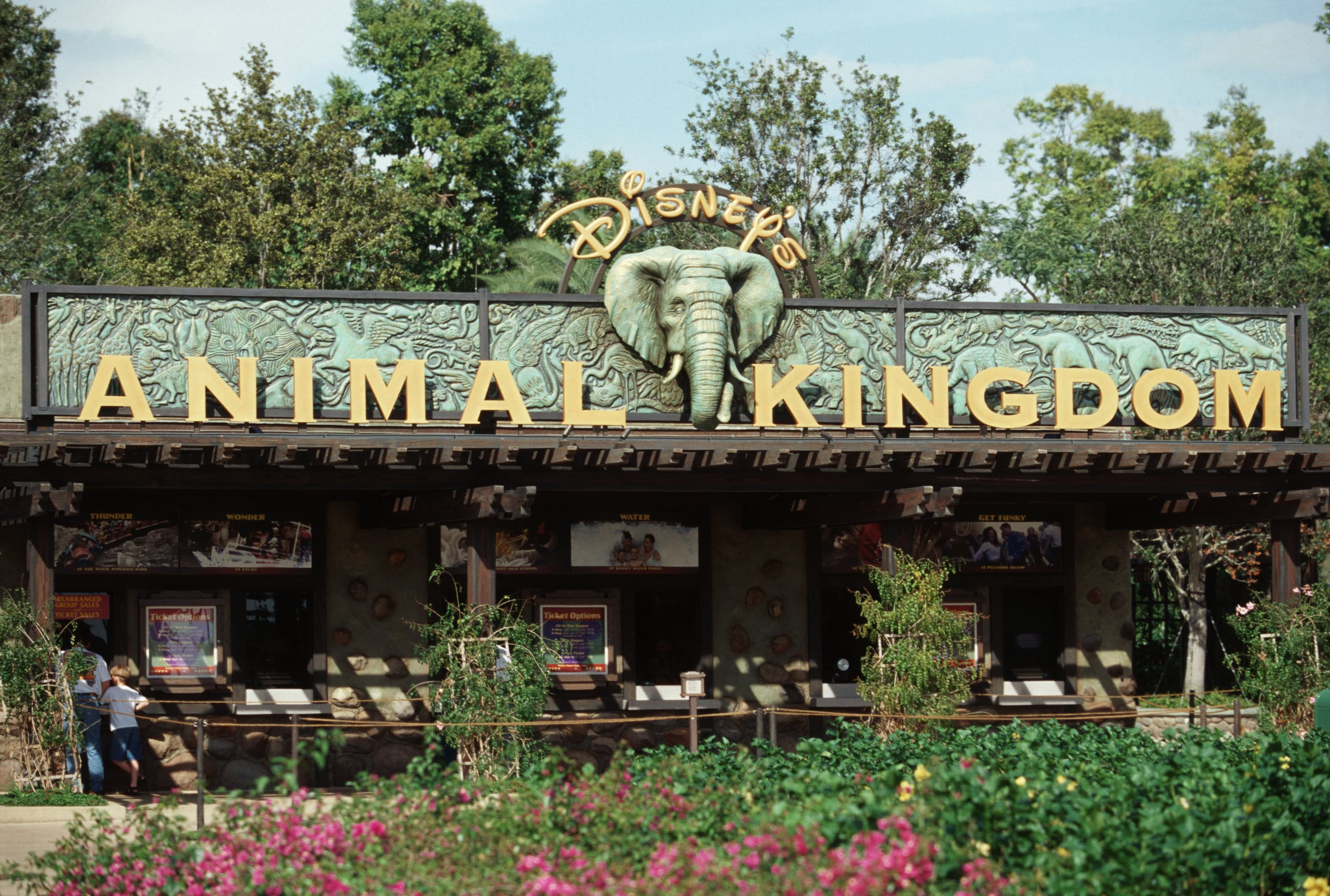 The front entrance of Disney’s Animal Kingdom theme park The front entrance of Disney’s Animal Kingdom theme park