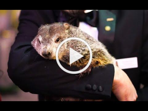 Craft Spirits TV: It's Groundhog Day with Wigle Whiskey!
