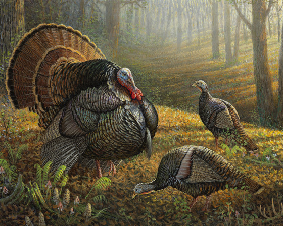 a painting of a wild turkey in the forest