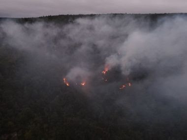 Aerial view of forest fire burning, smoke rising above the trees with some flames visible on the ground