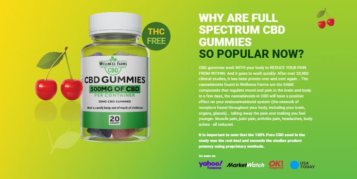 Wellness Farms CBD Gummies reviews before buy Read what doctor say about  this