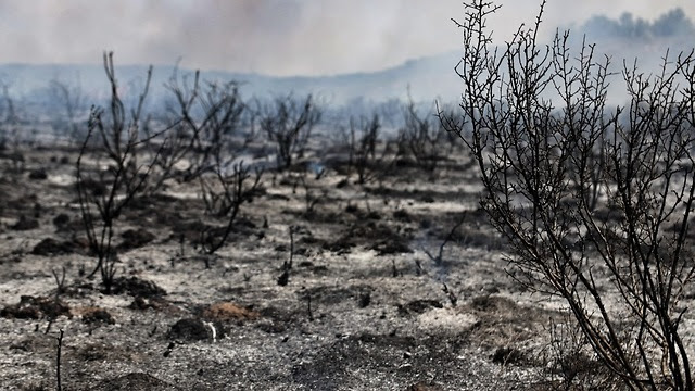 https://images1.ynet.co.il/PicServer5/2018/07/21/8671359/86713580100387640360no.jpg