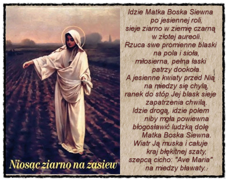 Znalezione obrazy dla zapytania matka boza siewna