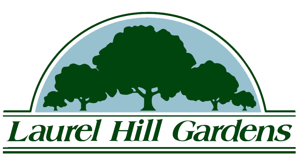 Laurel%20Hill%20logo%2002-12-21%20colorized.jpg