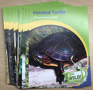 Critter cards help introduce young readers to Michigan wildlife species.