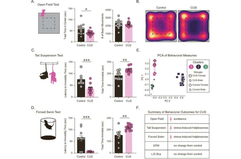 Neurosteroid deficits leads to depressed behavior