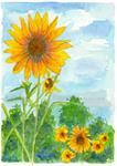 Sunflowers and Blue Skies - Posted on Friday, March 27, 2015 by Cathie Richardson