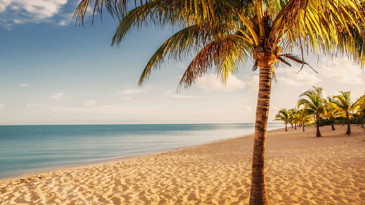 Une plage déserte dans les Caraïbes à l'heure d'or avec des palmiers en arrière-plan.