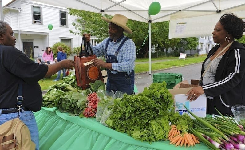 black owned farms