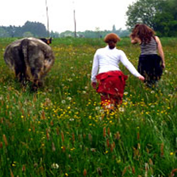 Visite d’une ferme en biodynamie 