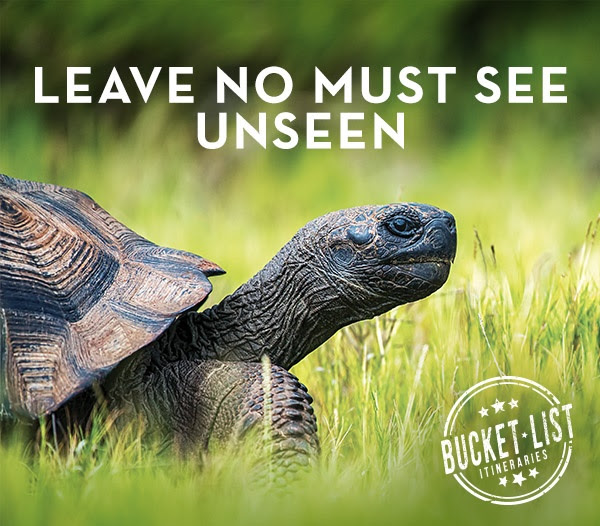 LEAVE NO 'MUST SEE' UNSEEN