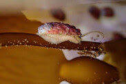 baby-white-abalone-burney