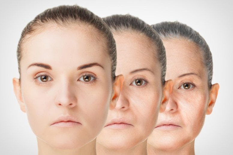 Rejuvenation Anti Aging Concept