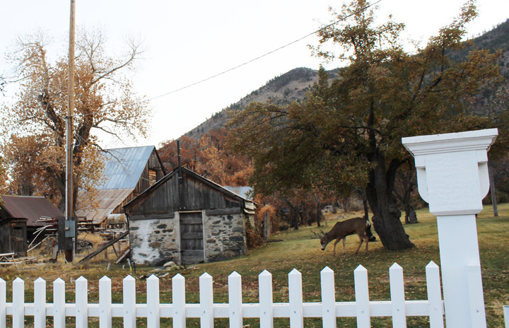 Warren Wasson's stone house in Genoa