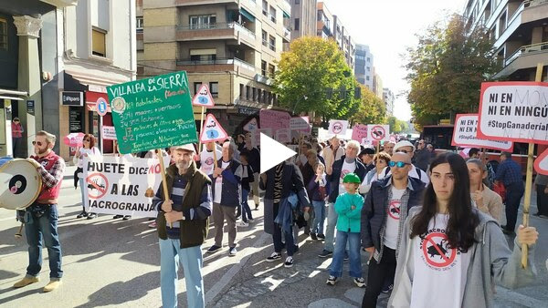Pueblos Vivos Cuenca se manifiesta contra la moratoria "fraudulenta" a las macrogranjas- 13 nov 2022