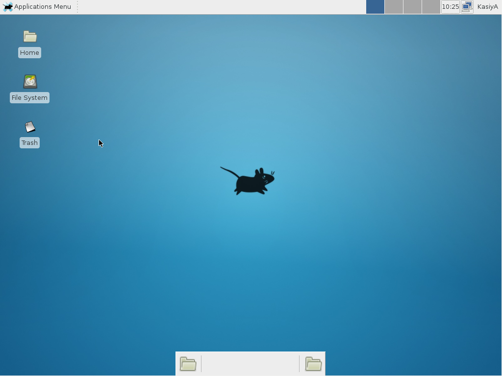Xfce Desktop Environment: sample starting screen