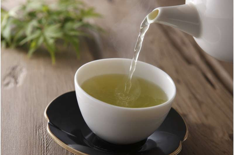 Green tea compound aids p53, 'guardian of the genome' and tumor suppressor