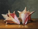 Conch Shells - Posted on Sunday, February 1, 2015 by Aleksey Vaynshteyn