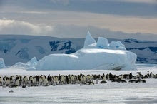 China and Russia Continue to Block Protections for Antarctica